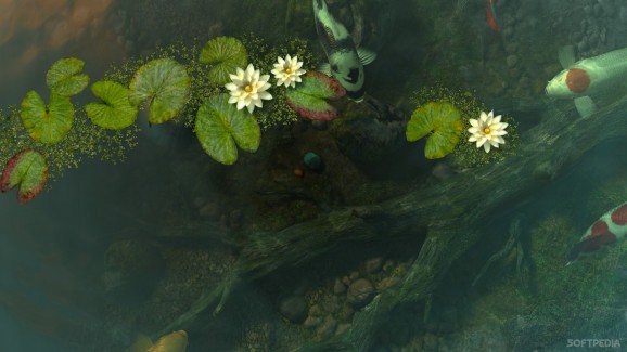 Koi Pond 3D full crack download