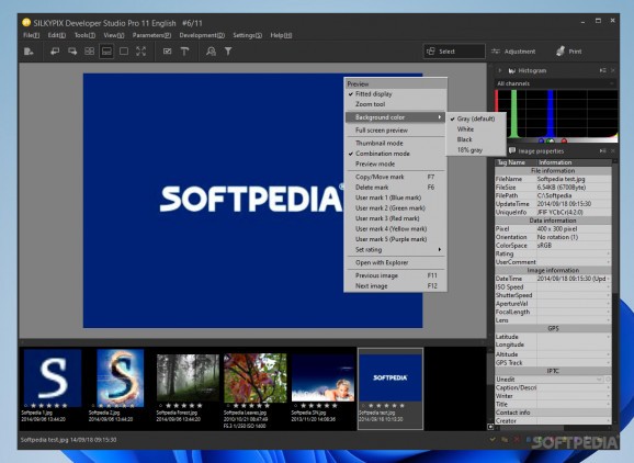 SILKYPIX Developer Studio Pro full crack download