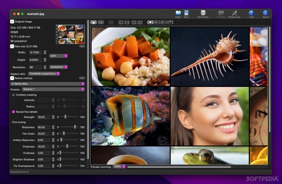 PhotoZoom Pro full crack download